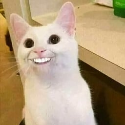 بنت واقعية سورية