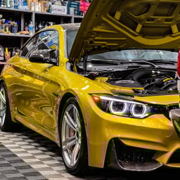 Circo propaganda média ll