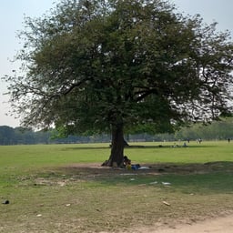 Expressive Poetic Narrator