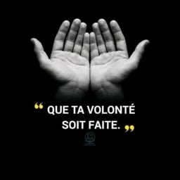 Voix Narrative Profonde