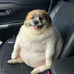 Isagi yoichi [megar] 