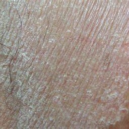 兴奋激动男带货