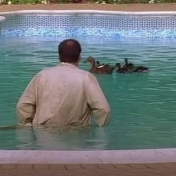 Enthusiastic Reviewer