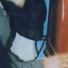 صوت عربي فصيح