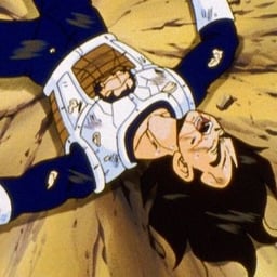Vegeta (Hurt voice)