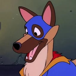 Flash The Wonder Dog