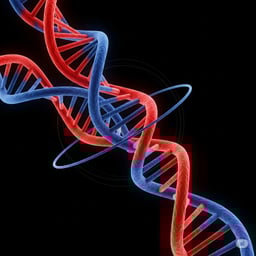 Voz Homem Meia Idade 