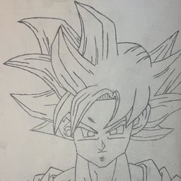 Goku 3.0