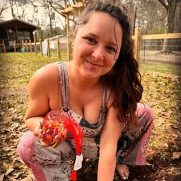 Cheyenne pickle wheat 