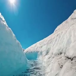 Voz de Treinador Esportivo