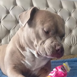 Voz Narrador Cálido