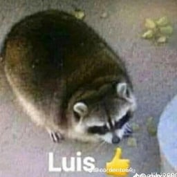 Voz Masculina Intensa