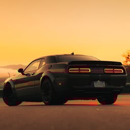 PORTEKİZCE ADAM SESİ