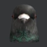 Energetic Young Creator