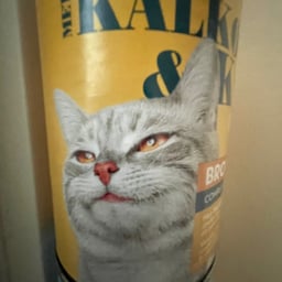 Dynamic Male Speaker