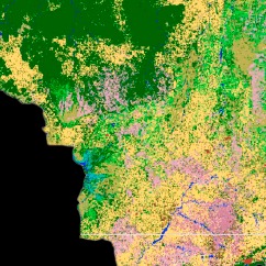 Locutor de Eventos Animado