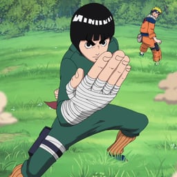 Rock lee