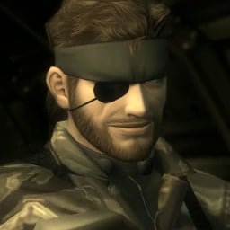 Solid Snake (David Hayter)