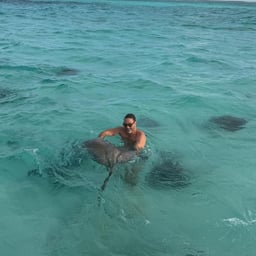 Measured Male Narrator