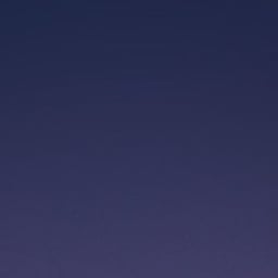 احمد الوائلي