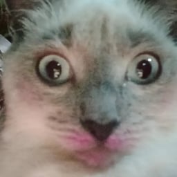 Игривый Детский Голос