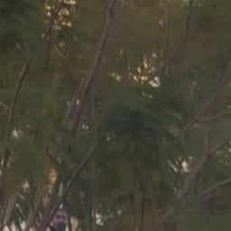 صوت بنت سورية شابة 4