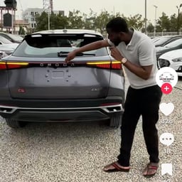 Playful Modern Female