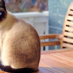 Narradora Española Cálida