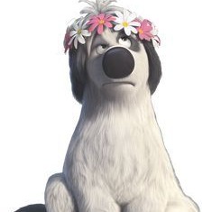 PACO_EL PERRO_FERDINAND DE PELICULA