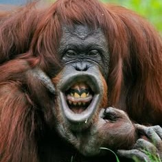 Voz Masculina Casual