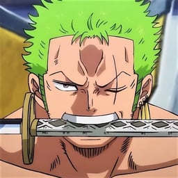 Zoro Ronoroa