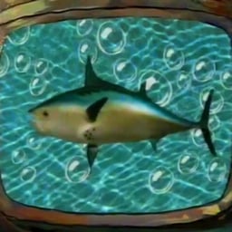 Mr fish (Summer Splash)