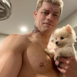 Cody Rhodes 