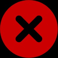 Energetic Female Reviewer