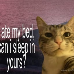 Voz Latina Apasionada