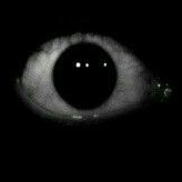 Terror analógico voz