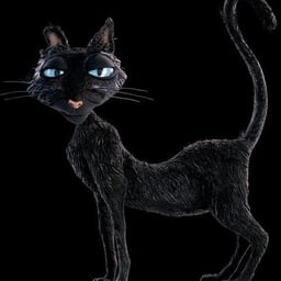 Coraline cat
