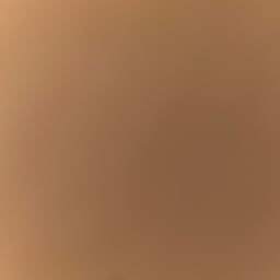 Young Informative Speaker