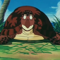 TORTUGA UMIGAME DE DRAGON BALL