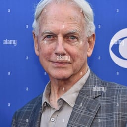 Mark Harmon 