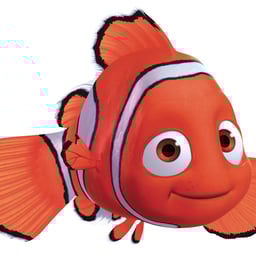 Nemo Finding Nemo