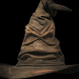 Sombrero seleccionador