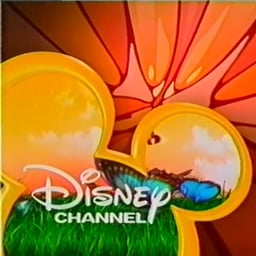 Disney Channel Female Announcer (HV) (2002)