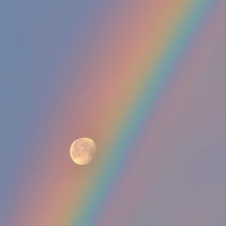 Informative Narrator