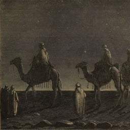 حيدر العلوي