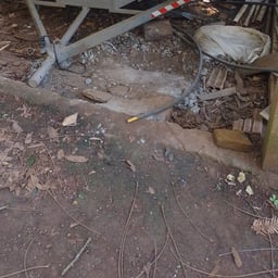 Amigo Português Casual