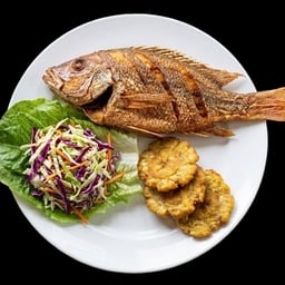 Voz Narrativa Cálida