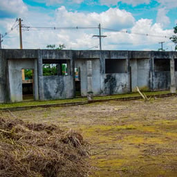 Voz Conversacional Masculina