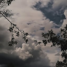 Narrador Reflexivo Serio