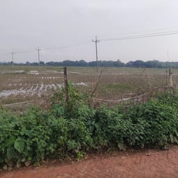 Napoleon Hill - 4 minutes sample